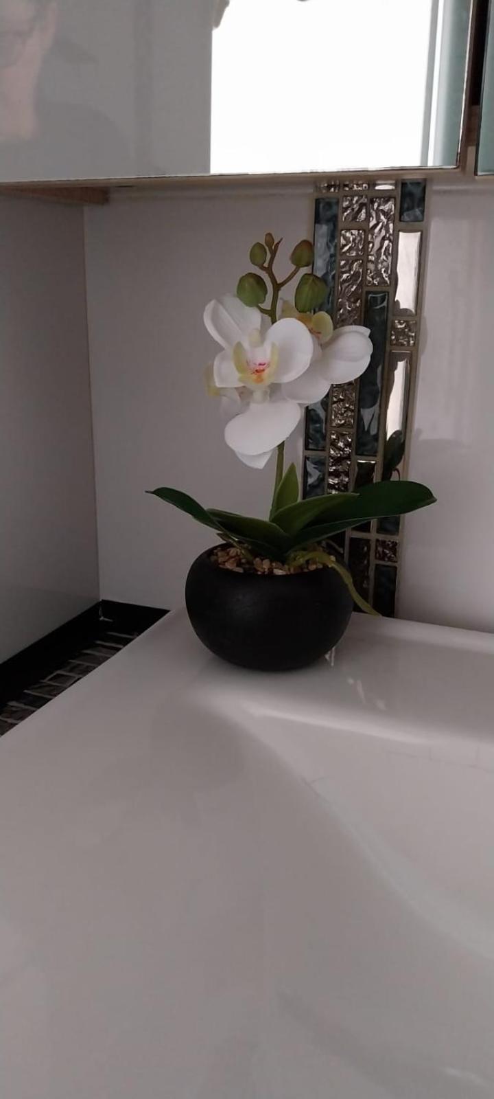 Apartament La Casa De Grace San Remo Zewnętrze zdjęcie